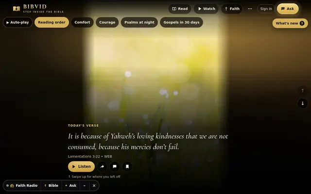 BibVid home page